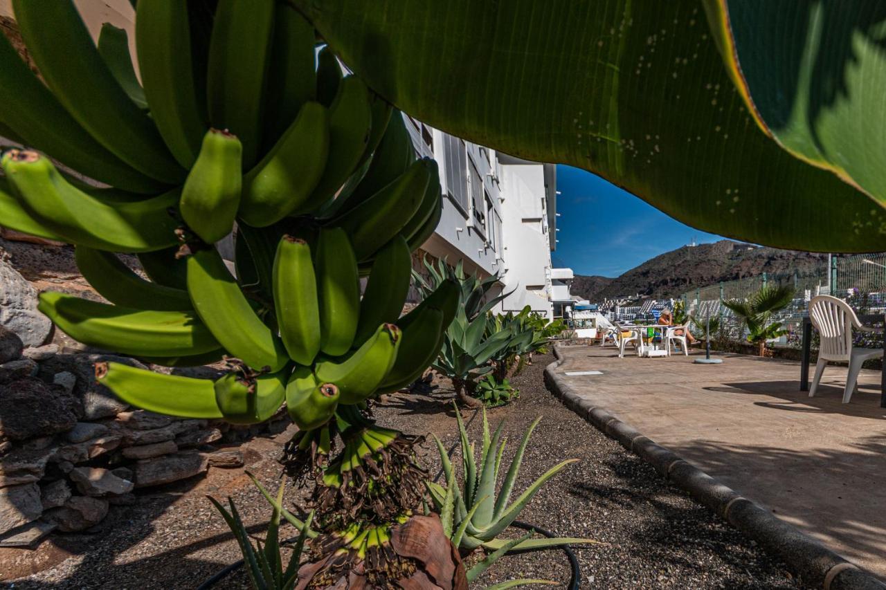 Your Happy Place Puerto Rico With Ac 外观 照片